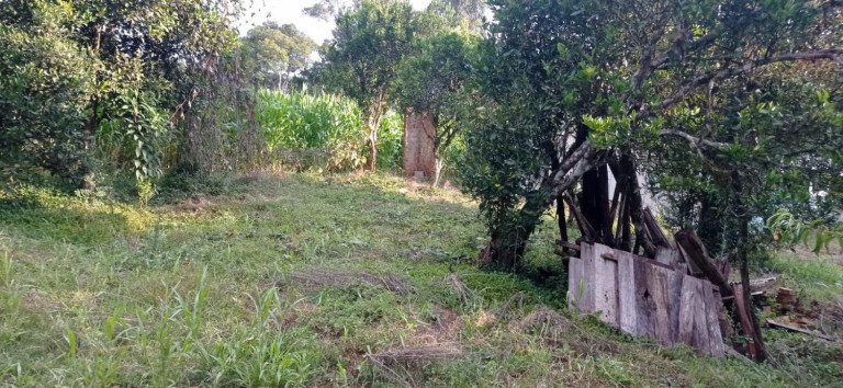 Imagem Chácara com 2 Quartos à Venda, 5.445 m² em Centro - Agudos Do Sul Imagem Chácara com 2 Quartos à Venda, 5.445 m² em Centro - Agudos Do Sul