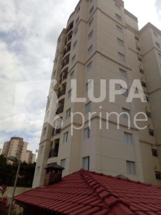 Apartamento com 3 Quartos à Venda, 57 m² em Limão - São Paulo