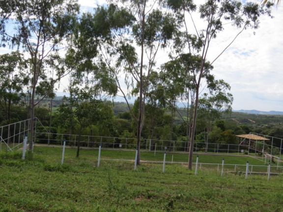 Imagem Imóvel com 8 Quartos à Venda, 32.000 m² em Curralinho - Igarapé