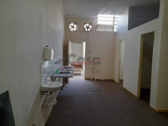 Imagem Imóvel com 1 Quarto para Alugar, 150 m² em Ipiranga - Ribeirão Preto Imagem Imóvel com 1 Quarto para Alugar, 150 m² em Ipiranga - Ribeirão Preto