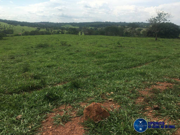 Imagem Chácara à Venda, 24 m² em Zona Rural - Petrolina De Goiás Imagem Chácara à Venda, 24 m² em Zona Rural - Petrolina De Goiás