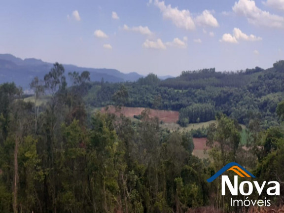 Imagem Imóvel à Venda, em Linha Olinda - Nova Petrópolis Imagem Imóvel à Venda, em Linha Olinda - Nova Petrópolis