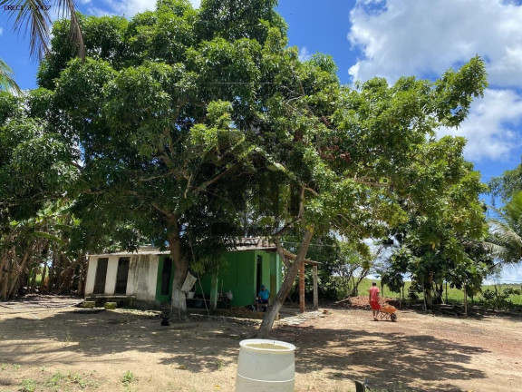 Imagem Imóvel com 5 Quartos à Venda, 780.000 m² em Zona Rual - Simões Filho