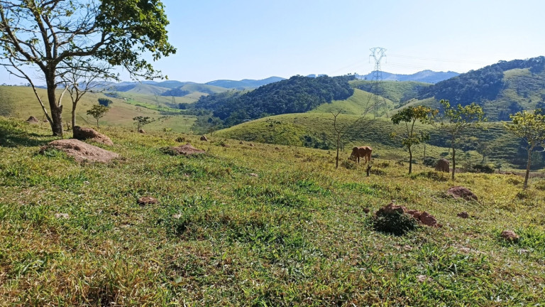 Imagem Chácara com 2 Quartos à Venda, 200 m² em Canaã - Jambeiro Imagem Chácara com 2 Quartos à Venda, 200 m² em Canaã - Jambeiro