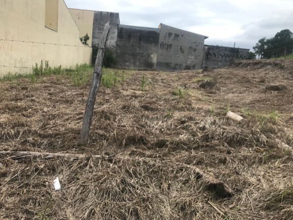 Imagem Terreno à Venda, 600 m² em Alto Do Cardoso - Pindamonhangaba Imagem Terreno à Venda, 600 m² em Alto Do Cardoso - Pindamonhangaba