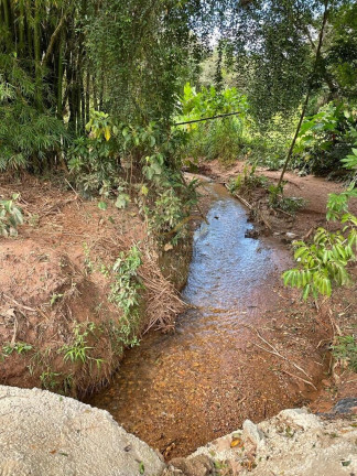 Imagem Imóvel com 3 Quartos à Venda, 8.000 m² em Satélite - Juatuba