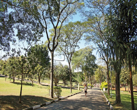 Imagem Imóvel com 2 Quartos à Venda, 50 m² em Chácara Santo Antônio (zona Leste) - São Paulo Imagem Imóvel com 2 Quartos à Venda, 50 m² em Chácara Santo Antônio (zona Leste) - São Paulo