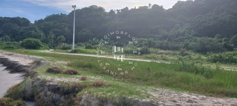 Imagem Terreno à Venda, 45.662 m² em Daniela - Florianópolis Imagem Terreno à Venda, 45.662 m² em Daniela - Florianópolis