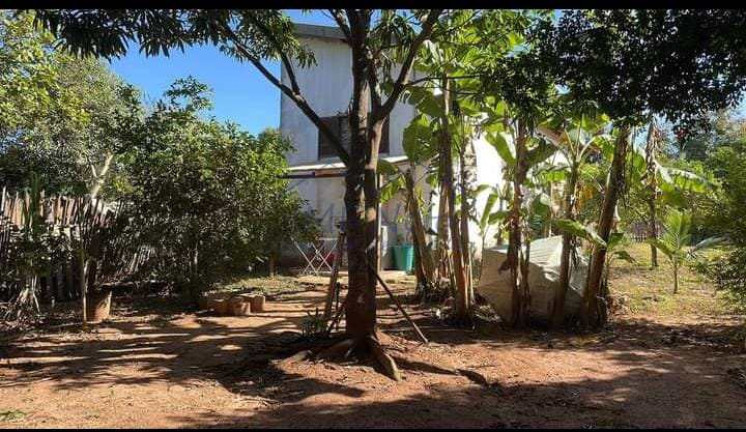 Imagem Casa com 2 Quartos à Venda, 480 m² em Centro - Santa Cruz Da Conceição Imagem Casa com 2 Quartos à Venda, 480 m² em Centro - Santa Cruz Da Conceição