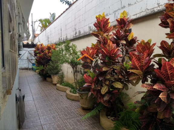 Imagem Casa com 4 Quartos à Venda, 300 m² em Vila Ré - São Paulo Imagem Casa com 4 Quartos à Venda, 300 m² em Vila Ré - São Paulo