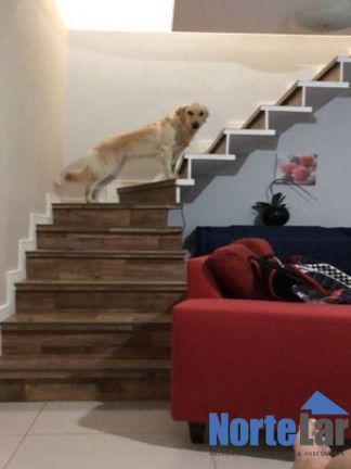 Imagem Casa com 2 Quartos à Venda, 80 m² em Jardim Jaraguá - São Paulo Imagem Casa com 2 Quartos à Venda, 80 m² em Jardim Jaraguá - São Paulo