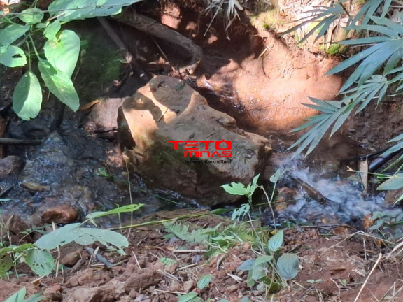 Imagem Imóvel à Venda,  em Bairro Cachoeira - Dom Viçoso
