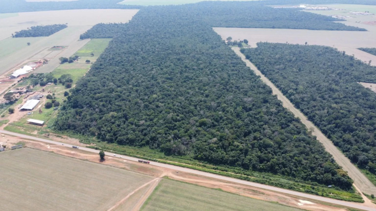 Imagem Fazenda à Venda, 117 m² em Zona Rural - Sinop Imagem Fazenda à Venda, 117 m² em Zona Rural - Sinop