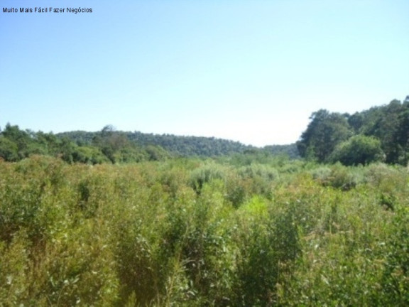 Imagem Terreno à Venda, 7 m² em Linha Imperial - Nova Petrópolis Imagem Terreno à Venda, 7 m² em Linha Imperial - Nova Petrópolis