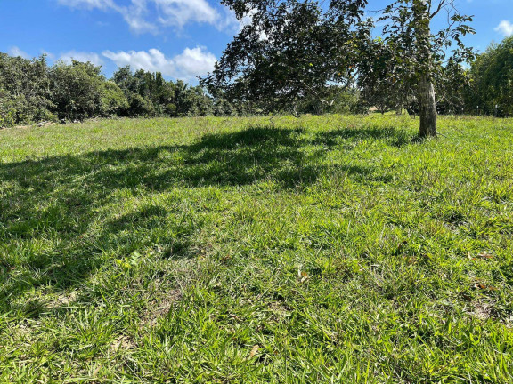 Imagem Chácara à Venda, 12 m² em Zona Rural - Vianópolis Imagem Chácara à Venda, 12 m² em Zona Rural - Vianópolis