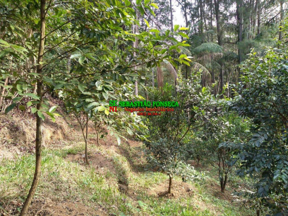 Imagem Chácara com 2 Quartos à Venda, 1 m² em Centro - Monteiro Lobato Imagem Chácara com 2 Quartos à Venda, 1 m² em Centro - Monteiro Lobato
