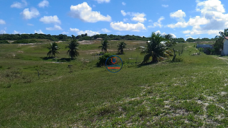 Imagem Terreno para Alugar ou Temporada, 630 m² em Praia De Tabatinga - Nísia Floresta Imagem Terreno para Alugar ou Temporada, 630 m² em Praia De Tabatinga - Nísia Floresta