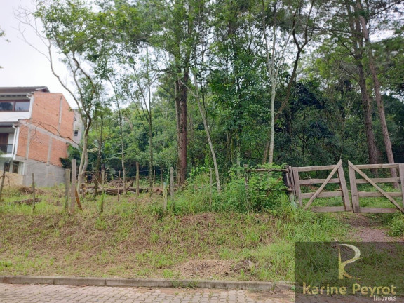 Imagem Terreno à Venda, 250 m² em Campestre - São Leopoldo