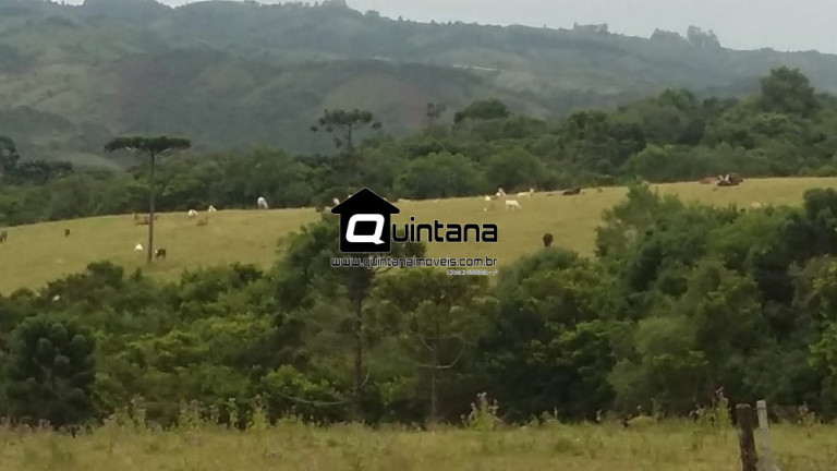 Imagem Imóvel com 2 Quartos à Venda, 8.000.000 m² em Centro - Santana Da Boa Vista Imagem Imóvel com 2 Quartos à Venda, 8.000.000 m² em Centro - Santana Da Boa Vista