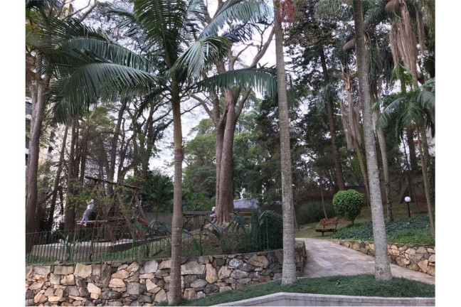 Imagem Imóvel com 3 Quartos à Venda,  em Jardim Colombo - São Paulo