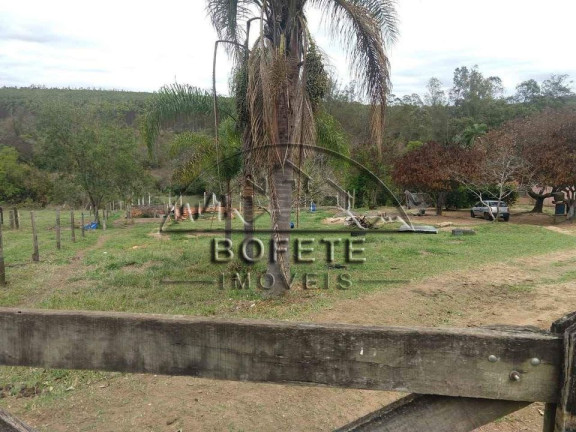 Imagem Imóvel com 3 Quartos à Venda, 5.000 m² em Mococa - Bofete Imagem Imóvel com 3 Quartos à Venda, 5.000 m² em Mococa - Bofete