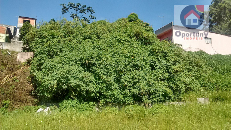 Imagem Terreno à Venda, 367 m² em Jardim Fortaleza - Guarulhos