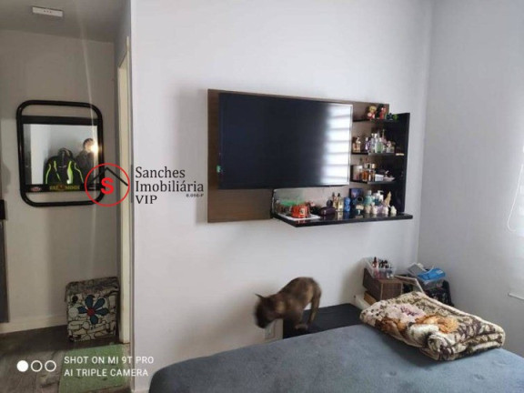 Imagem Apartamento com 3 Quartos à Venda, 71 m² em Vila Prudente - São Paulo Imagem Apartamento com 3 Quartos à Venda, 71 m² em Vila Prudente - São Paulo