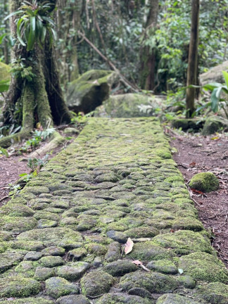 Imagem Imóvel com 5 Quartos à Venda, 20.000 m² em Maresias - São Sebastião Imagem Imóvel com 5 Quartos à Venda, 20.000 m² em Maresias - São Sebastião