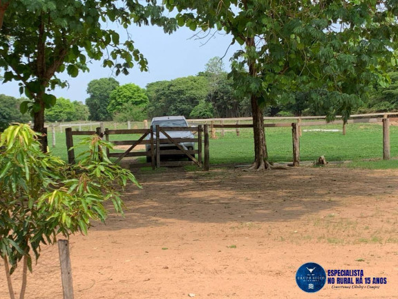 Imagem Fazenda à Venda, 359 m² em Zona Rural - Cocalinho Imagem Fazenda à Venda, 359 m² em Zona Rural - Cocalinho