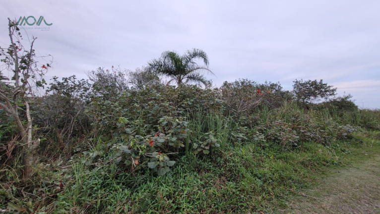 Imagem Terreno à Venda, 864 m² em Palmeiras - Itapoá Imagem Terreno à Venda, 864 m² em Palmeiras - Itapoá