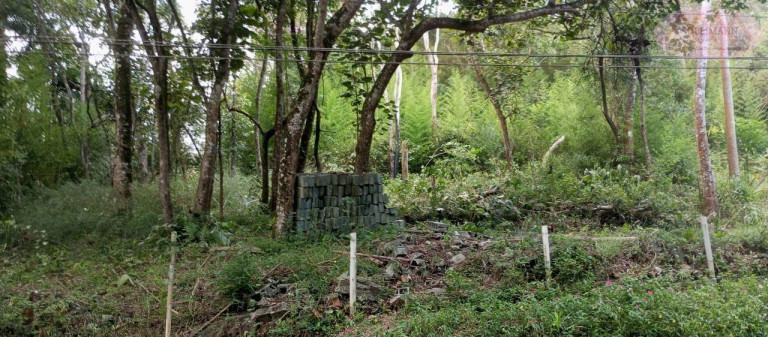 Imagem Terreno à Venda, 1.205 m² em Jardim Dos Eucaliptos - Suzano