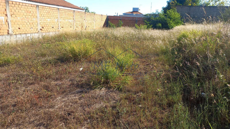 Imagem Terreno à Venda, 250 m² em Jardim Treviso - Pirassununga Imagem Terreno à Venda, 250 m² em Jardim Treviso - Pirassununga