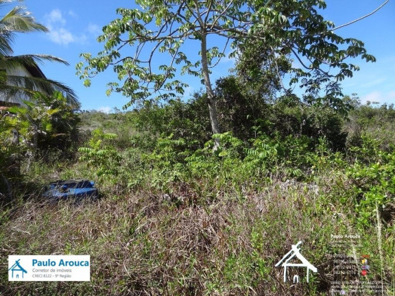 Imagem Terreno em Condomínio à Venda, 900 m² em Busca Vida (abrantes) - Camaçari Imagem Terreno em Condomínio à Venda, 900 m² em Busca Vida (abrantes) - Camaçari