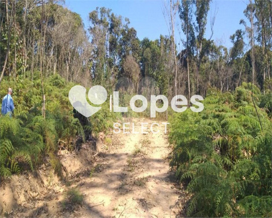 Imagem Terreno à Venda, 121.000 m² em Santo Amaro - São Paulo Imagem Terreno à Venda, 121.000 m² em Santo Amaro - São Paulo