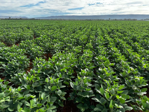 Imagem Fazenda à Venda, 9.700 m² em Rural - Pontes E Lacerda