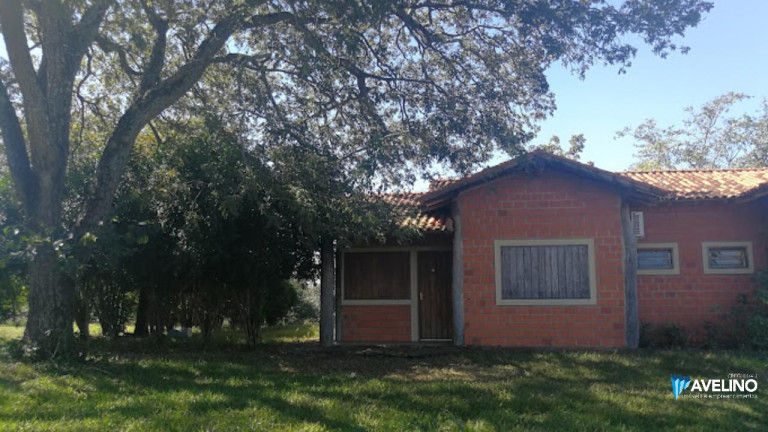Imagem Casa com 1 Quarto à Venda, 10 m² em Centro - Maracaju