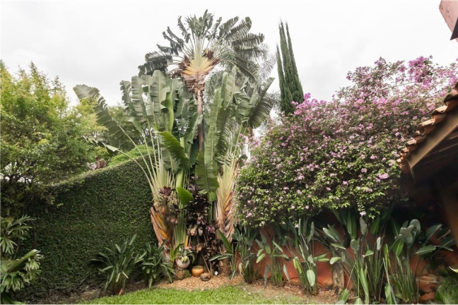 Imagem Casa com 3 Quartos à Venda, em Morumbi - São Paulo Imagem Casa com 3 Quartos à Venda, em Morumbi - São Paulo