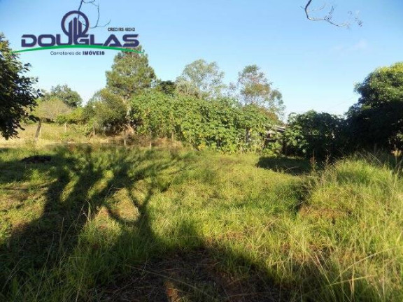 Imagem Casa com 2 Quartos à Venda, 1.800 m² em águas Claras - Viamão Imagem Casa com 2 Quartos à Venda, 1.800 m² em águas Claras - Viamão