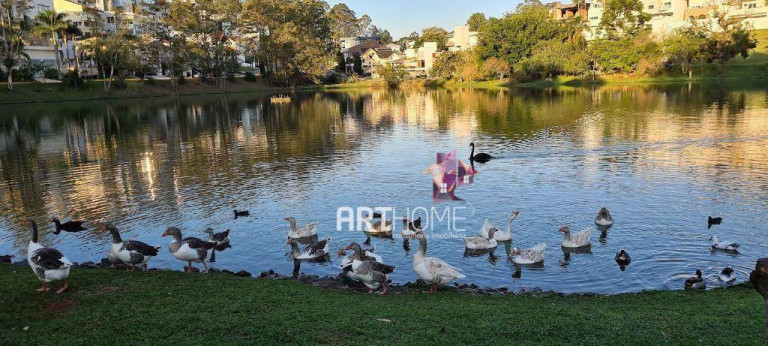 Imagem Sobrado com 5 Quartos à Venda, 800 m² em Parque Terra Nova Ii - São Bernardo Do Campo Imagem Sobrado com 5 Quartos à Venda, 800 m² em Parque Terra Nova Ii - São Bernardo Do Campo