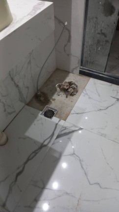 Imagem Apartamento com 2 Quartos à Venda, 36 m² em Jardim Santo Estêvão - Carapicuíba