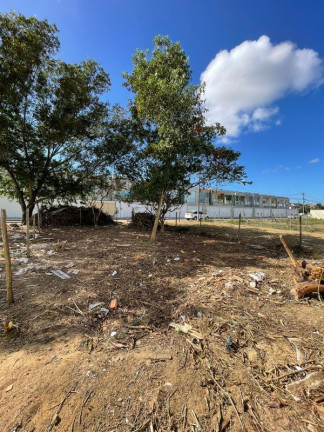 Terreno para Alugar ou Temporada, 200 m² em Colina De Laranjeiras - Serra