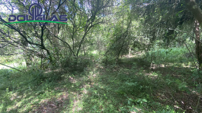 Imagem Terreno à Venda, 5.000 m² em Viamão