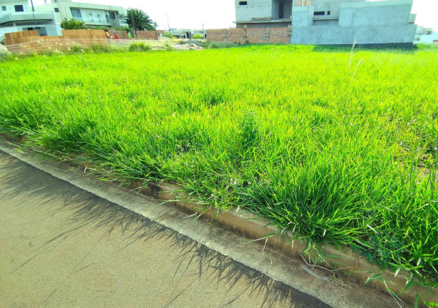 Imagem Terreno em Condomínio à Venda, 300 m² em São Paulo Imagem Terreno em Condomínio à Venda, 300 m² em São Paulo