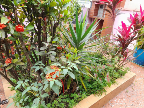 Imagem Casa com 4 Quartos à Venda, 300 m² em Ponta Da Praia - Santos