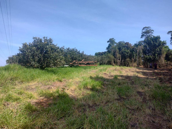 Imagem Chácara à Venda, 2.000 m² Imagem Chácara à Venda, 2.000 m²