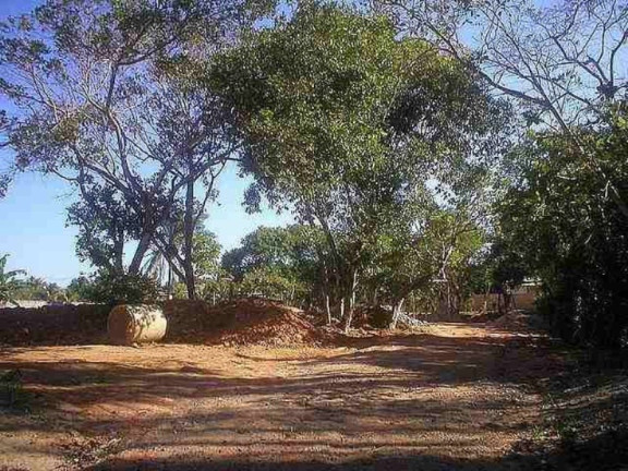 Imagem Imóvel à Venda, 4.500 m² em Estrada Do Coco - Lauro De Freitas Imagem Imóvel à Venda, 4.500 m² em Estrada Do Coco - Lauro De Freitas