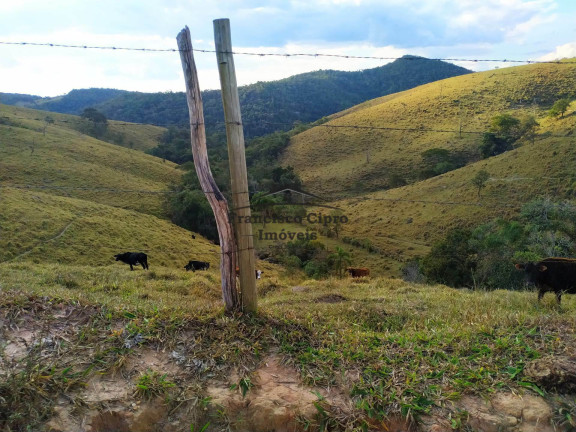 Imagem Imóvel com 3 Quartos à Venda, 1.210.000 m² em Catioca - Cunha Imagem Imóvel com 3 Quartos à Venda, 1.210.000 m² em Catioca - Cunha