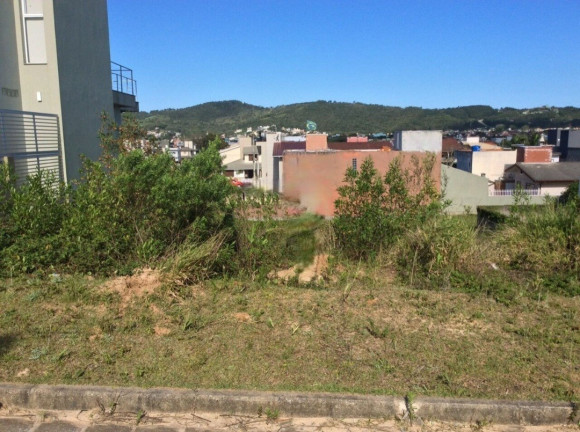 Imagem Terreno à Venda, 325 m² em Ferraz - Garopaba