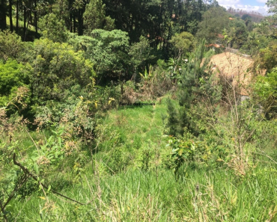 Imagem Chácara com 3 Quartos à Venda, 100 m² em Jundiaizinho (terra Preta) - Mairiporã Imagem Chácara com 3 Quartos à Venda, 100 m² em Jundiaizinho (terra Preta) - Mairiporã