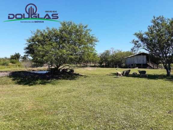 Imagem Chácara à Venda,  em águas Claras - Viamão